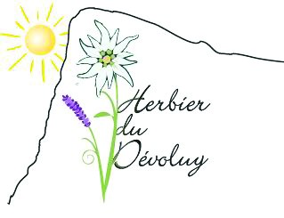 Photo de l'entreprise : Herbier du Dévoluy