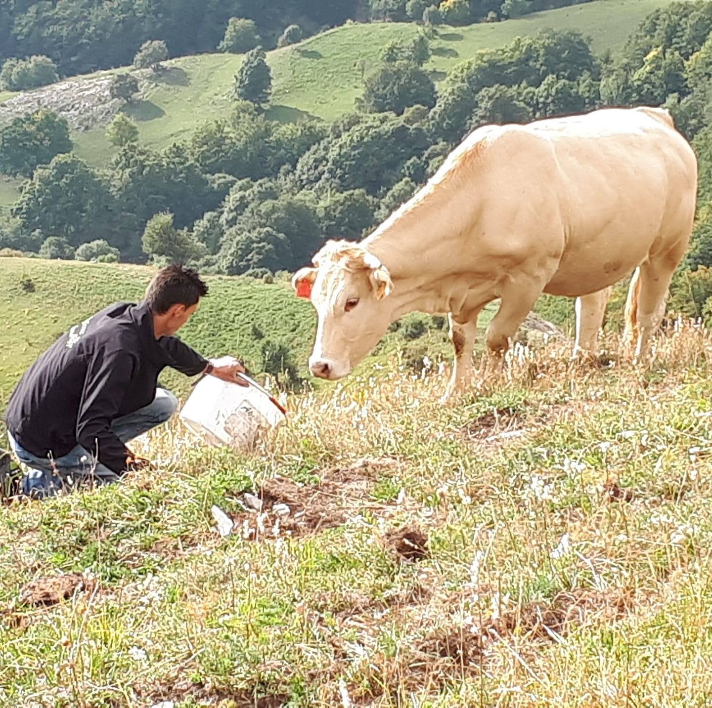 Photo de l'entreprise : La Ferme Flaud