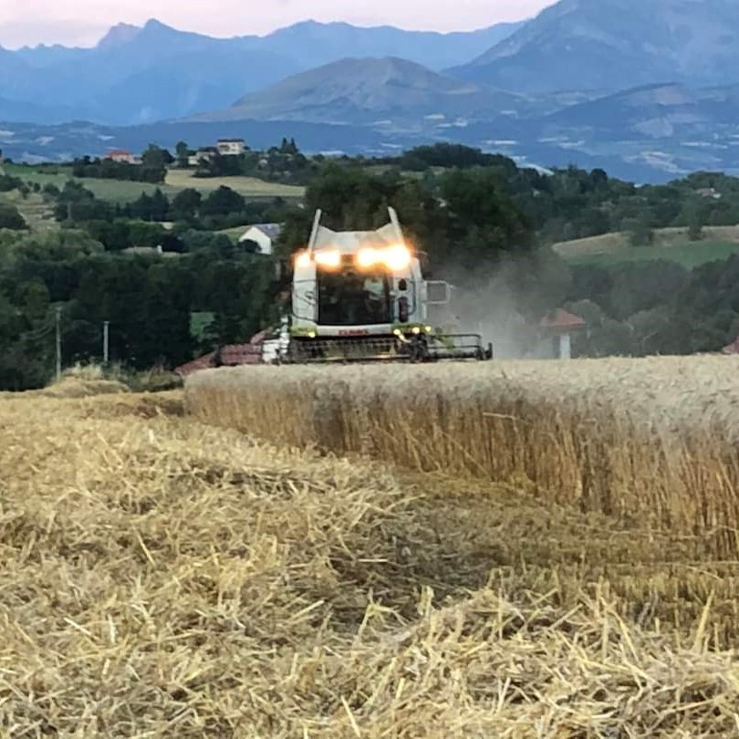 Photo de l'entreprise : SCEA Domaine Les Tardieux