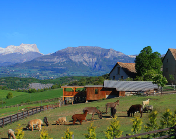 Photo de l'entreprise : La Ferme du Col