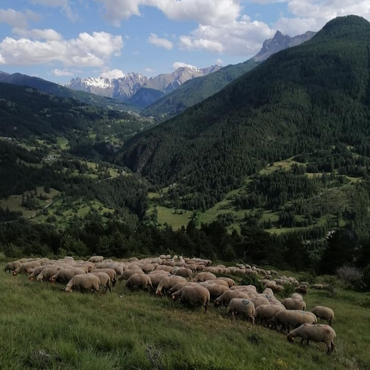 Photo de l'entreprise : EARL de l'Aigle