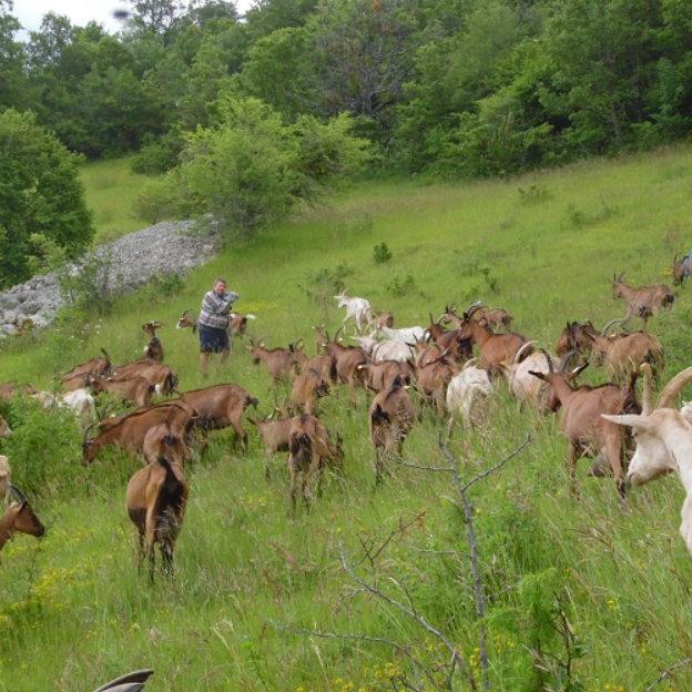 Photo de l'entreprise : GAEC Aubessagne